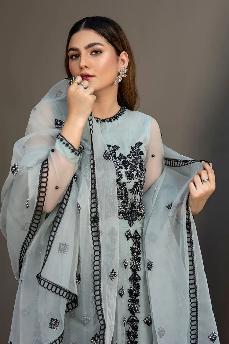 Ahmad Raza - Afsana Pret Collection - AR2058