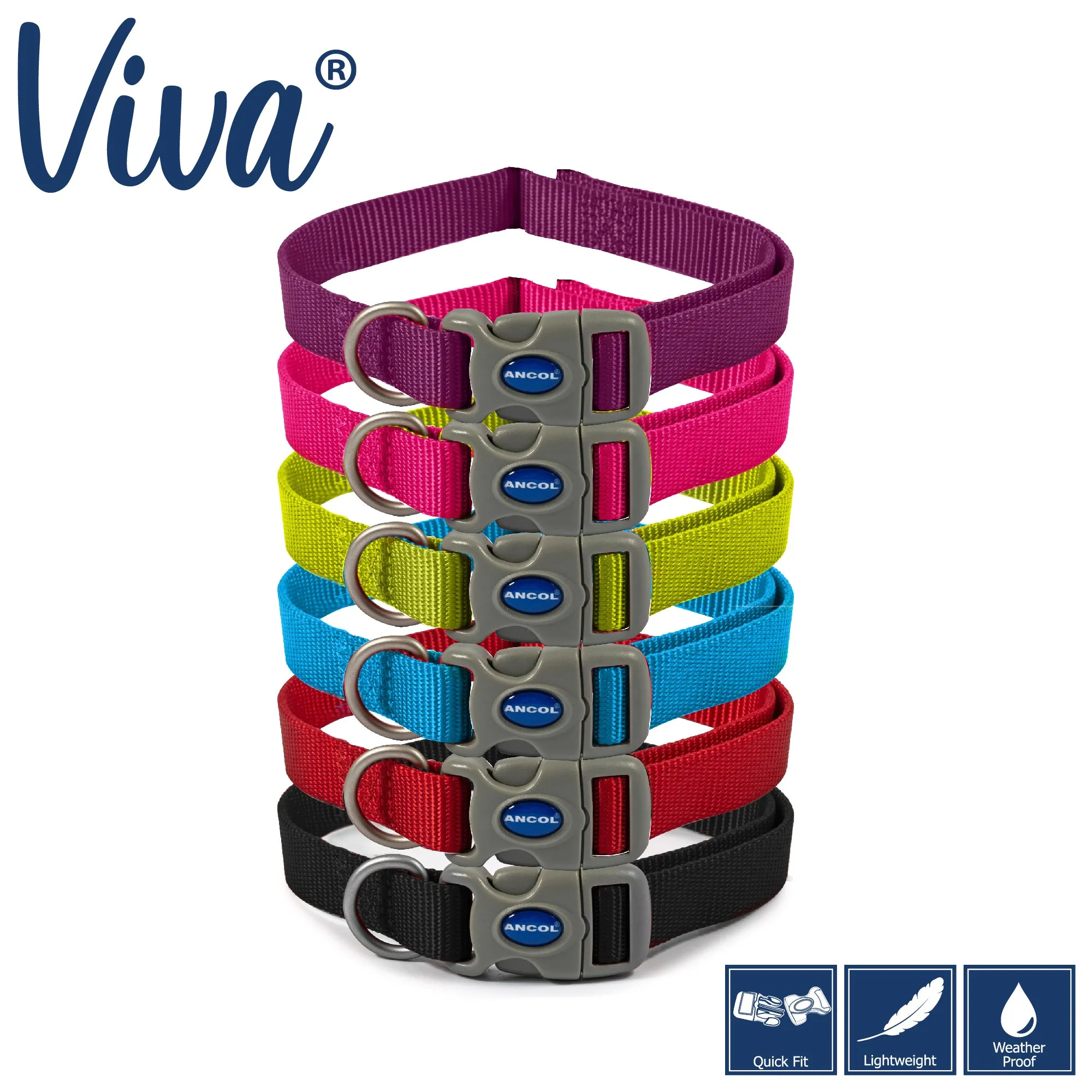 Ancol - Viva Nylon Adjustable Collar - Purple - Small (20-30cm)