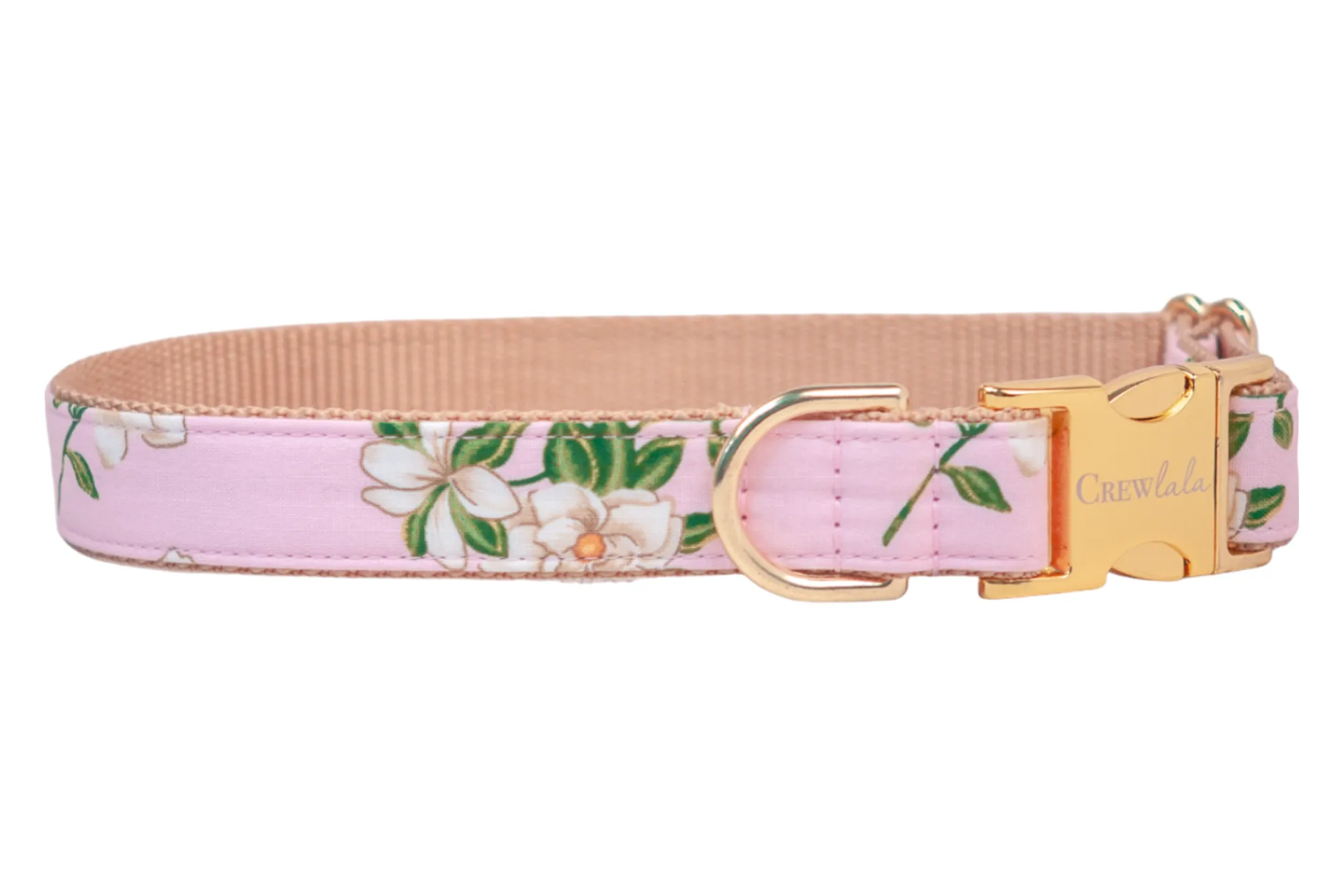 Blush Magnolias Dog Collar