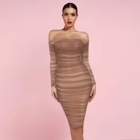 Brown Off Shoulder Long Sleeve Mesh Bodycon Dress