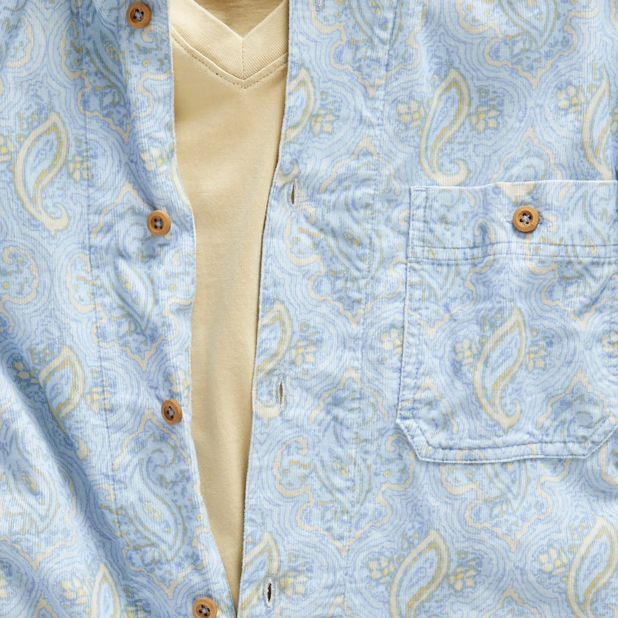 Driftwood Paisley Corduroy Shirt