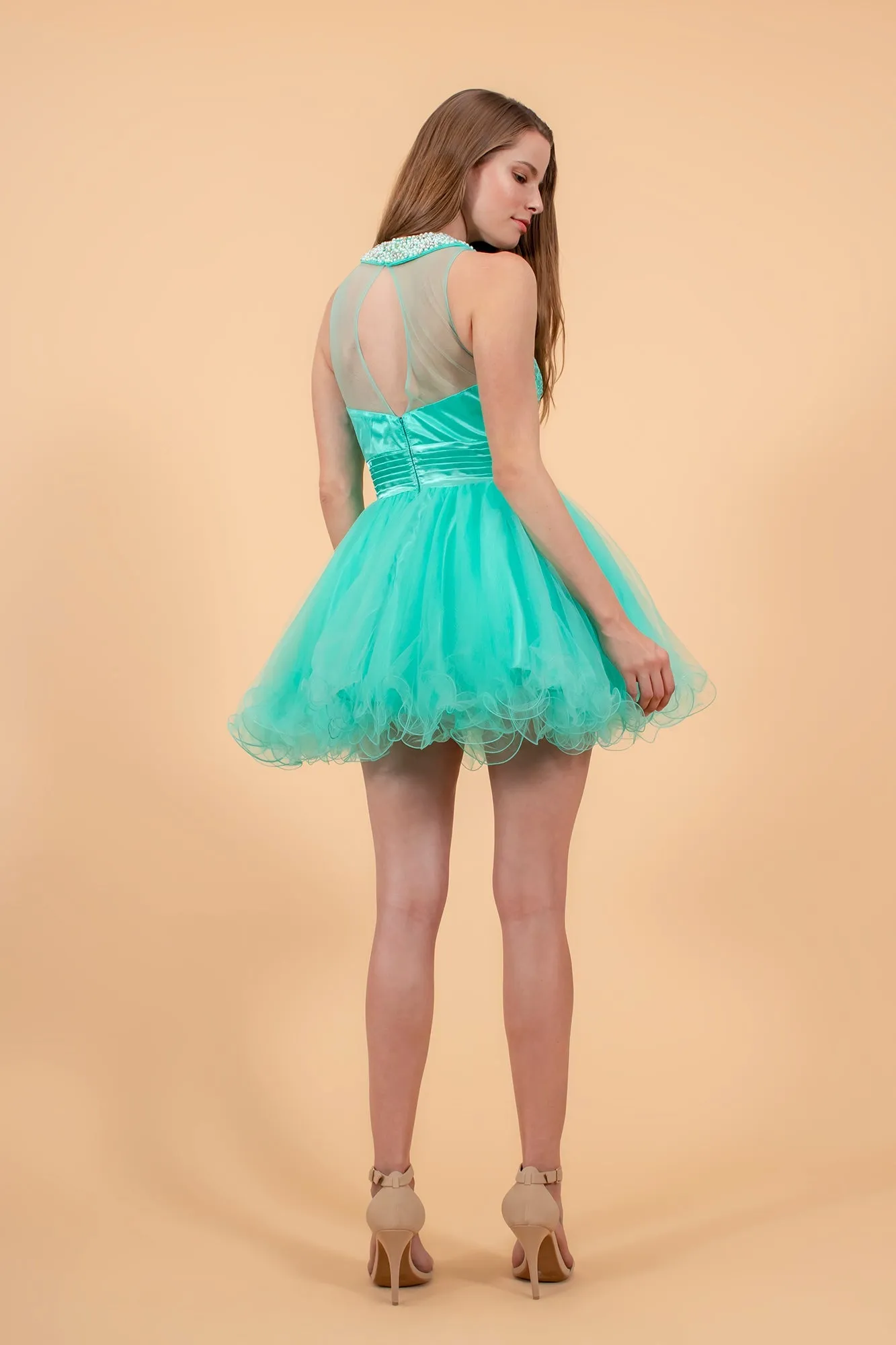 Embroidered Tulle Short Dress with Beaded Collar and Illusion Sweetheart Neckline