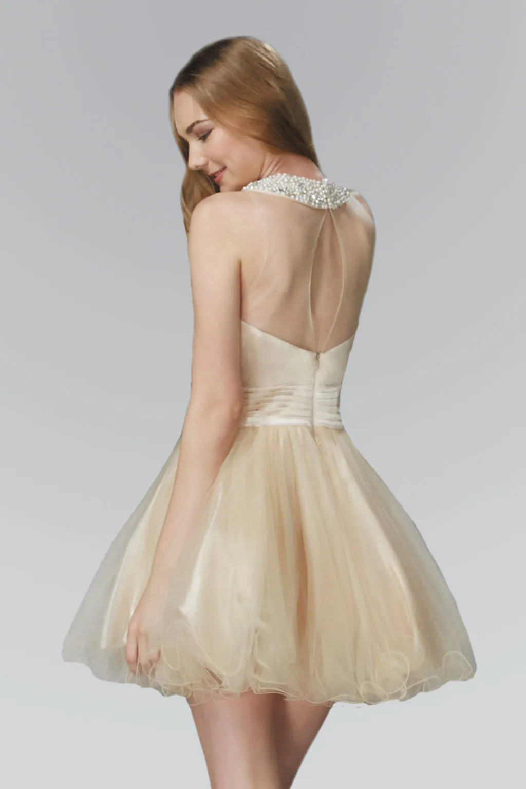 Embroidered Tulle Short Dress with Beaded Collar and Illusion Sweetheart Neckline