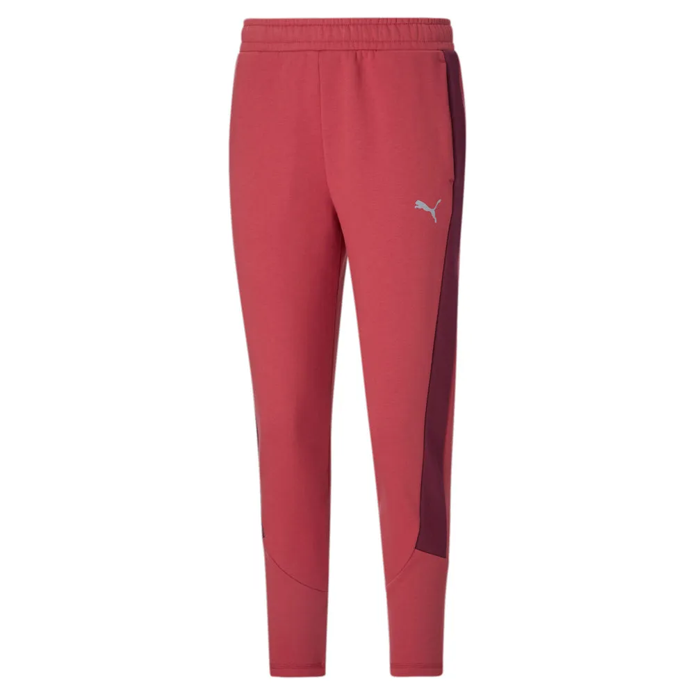 Evostripe Winterized High-Waist Pants