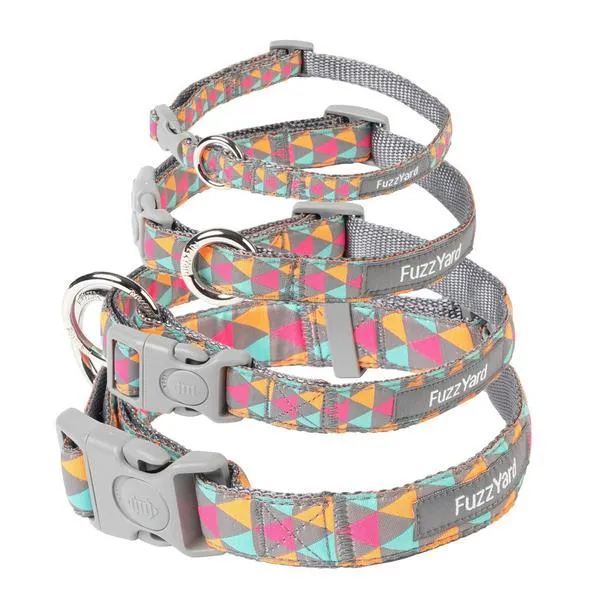 FuzzYard Pop Dog Collar