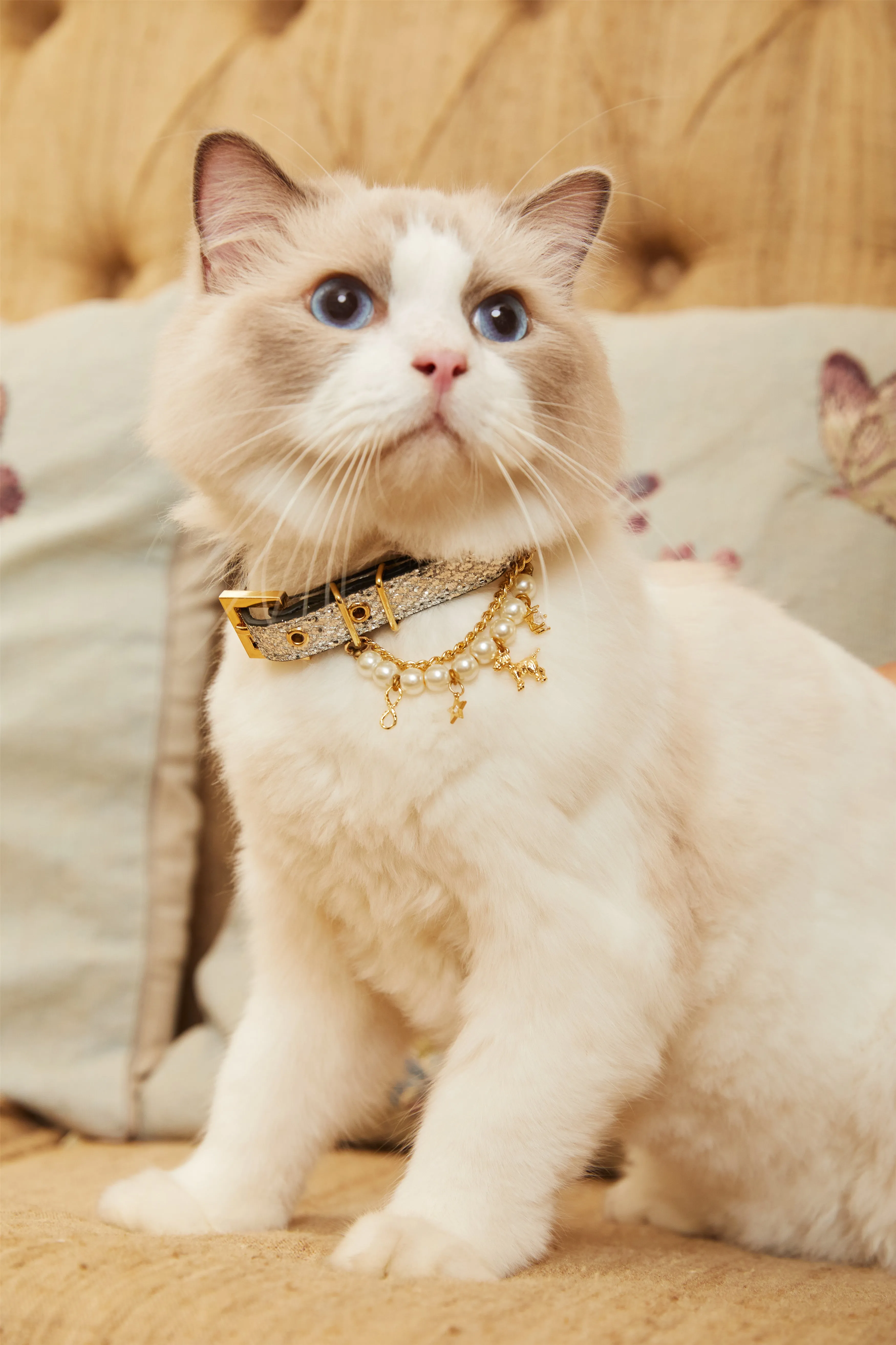 Glitter Collar with Pearl (Silver)