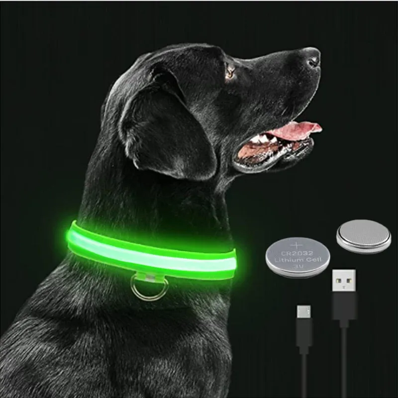 Glowing Dog Collar. night time safety.