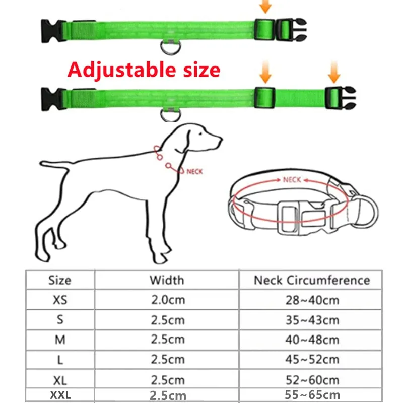 Glowing Dog Collar. night time safety.