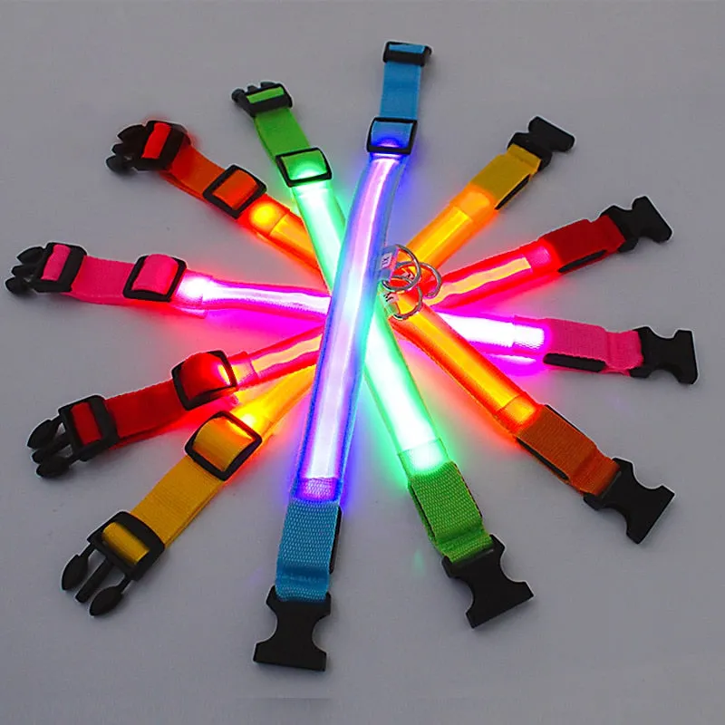 Glowing Dog Collar. night time safety.