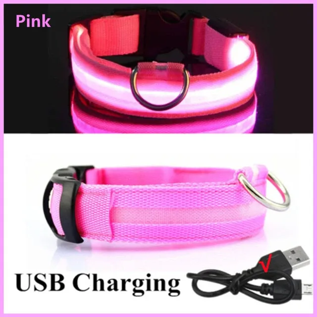 Glowing Dog Collar. night time safety.