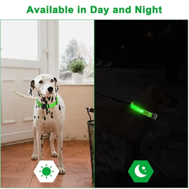 Glowing Dog Collar. night time safety.