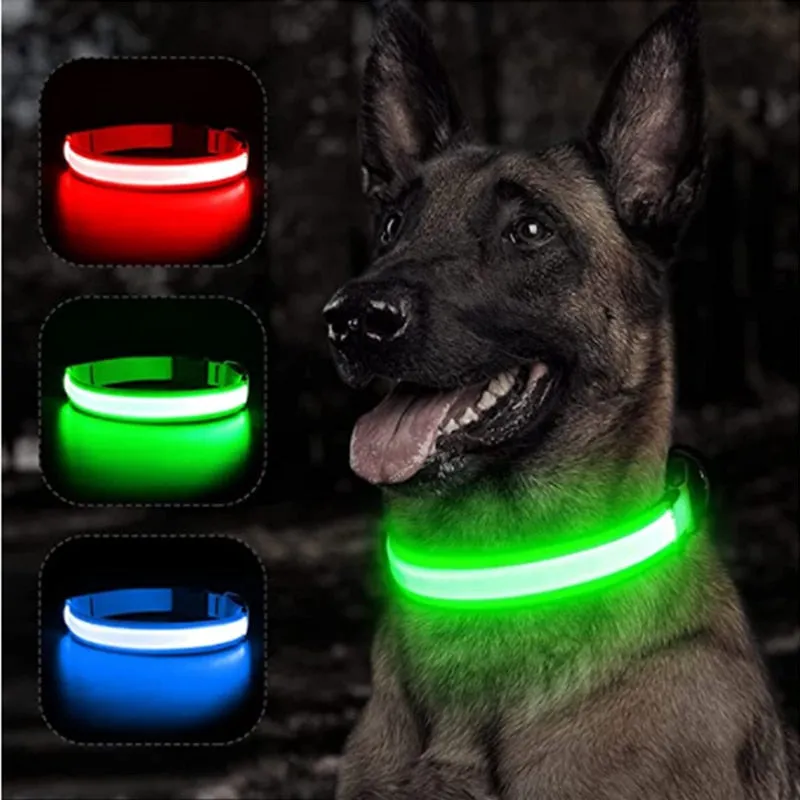 Glowing Dog Collar. night time safety.