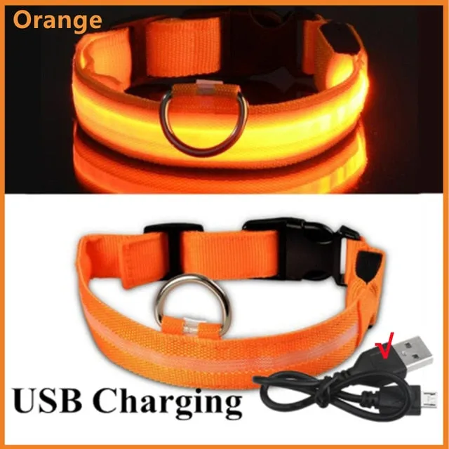 Glowing Dog Collar. night time safety.