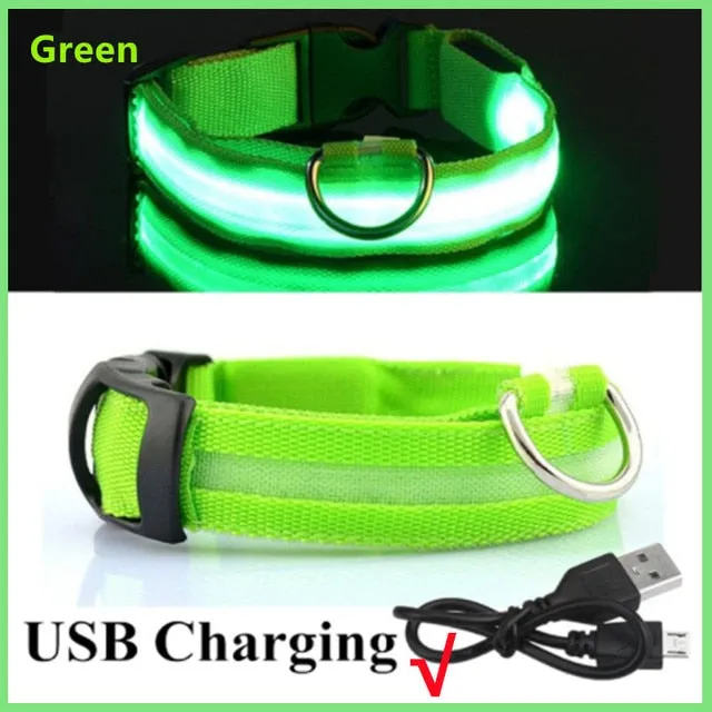 Glowing Dog Collar. night time safety.