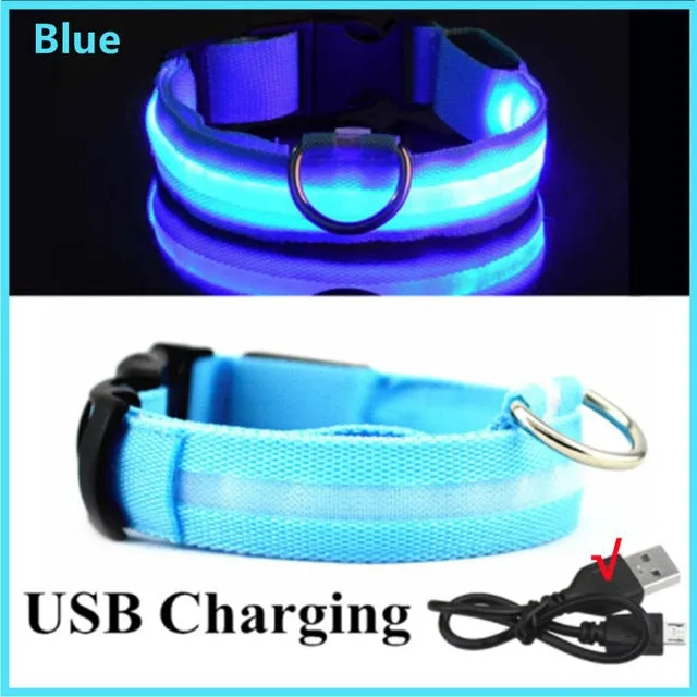 Glowing Dog Collar. night time safety.