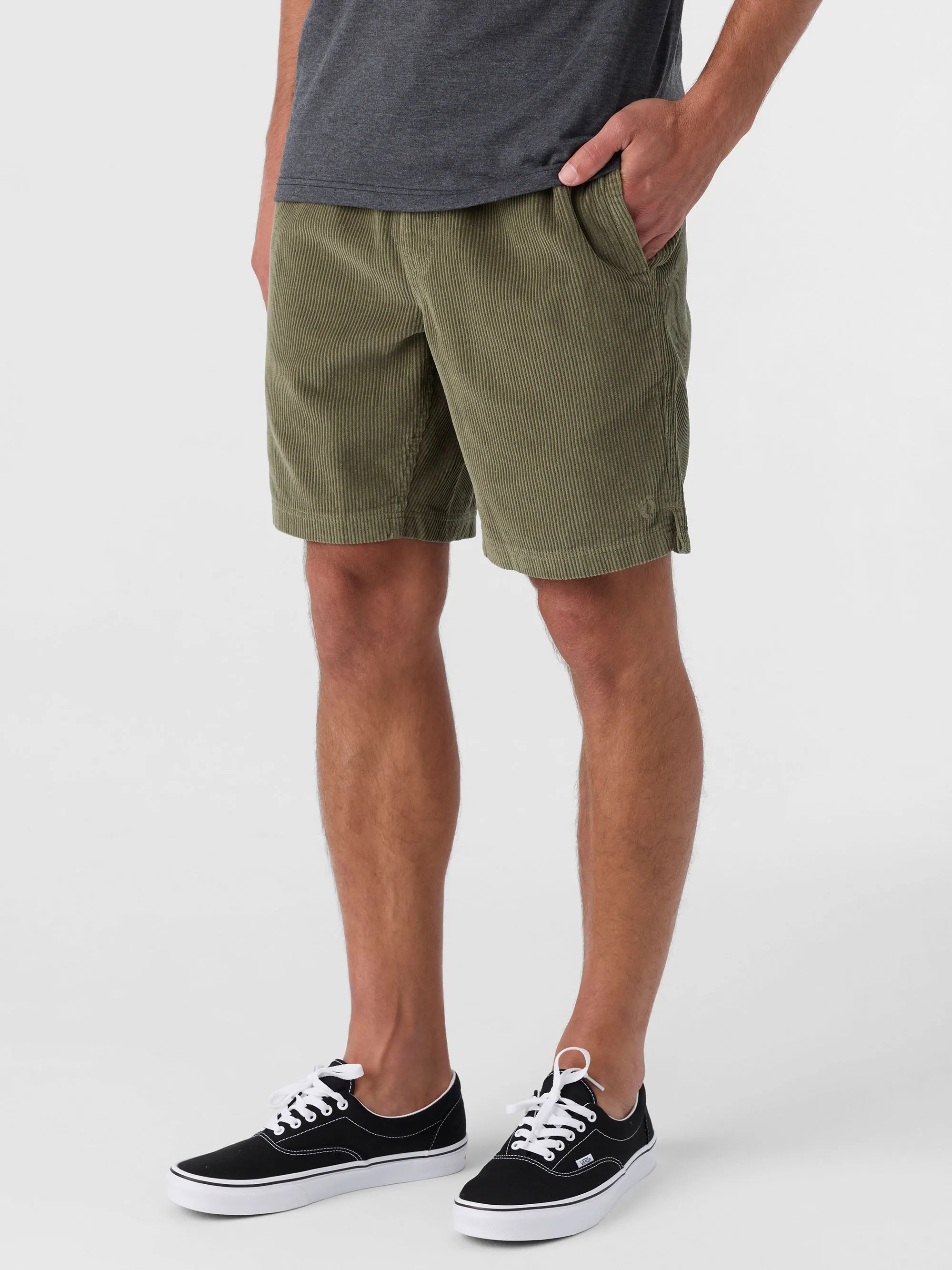 Picnic 18" Shorts