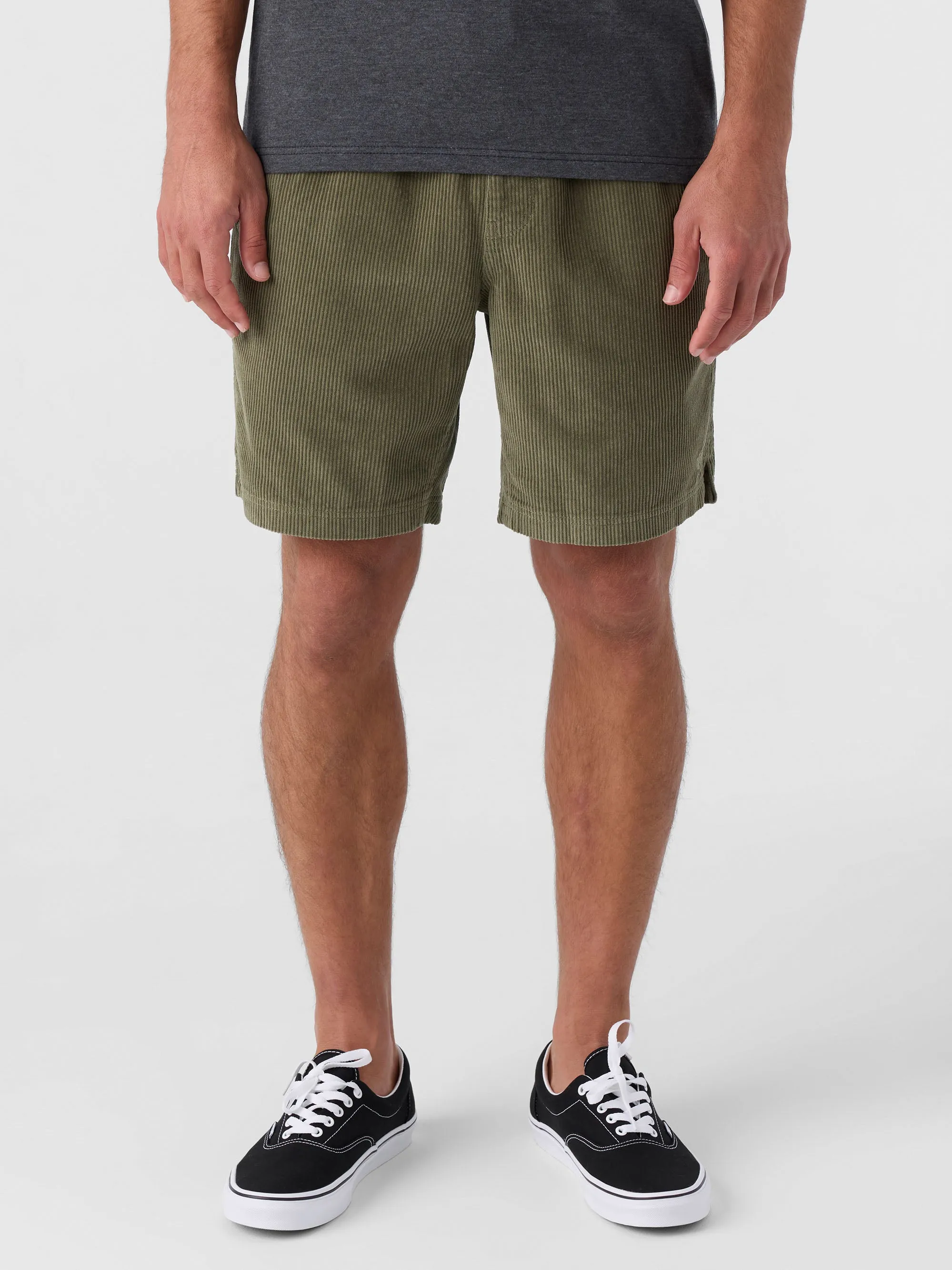 Picnic 18" Shorts