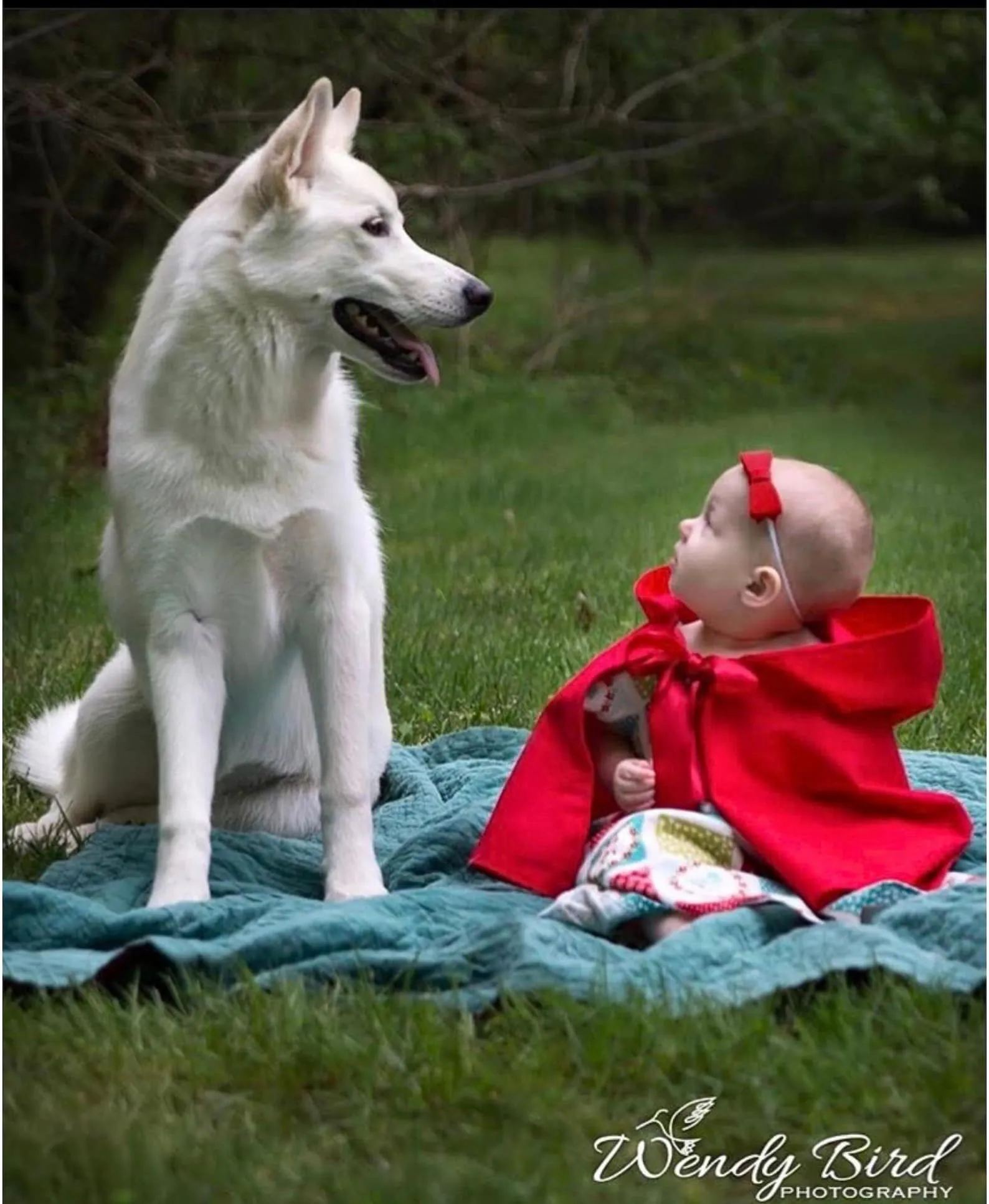 Red Riding Hood Costume