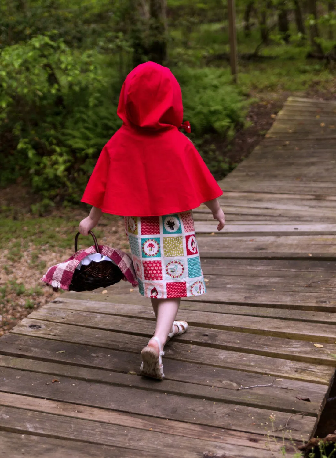 Red Riding Hood Costume