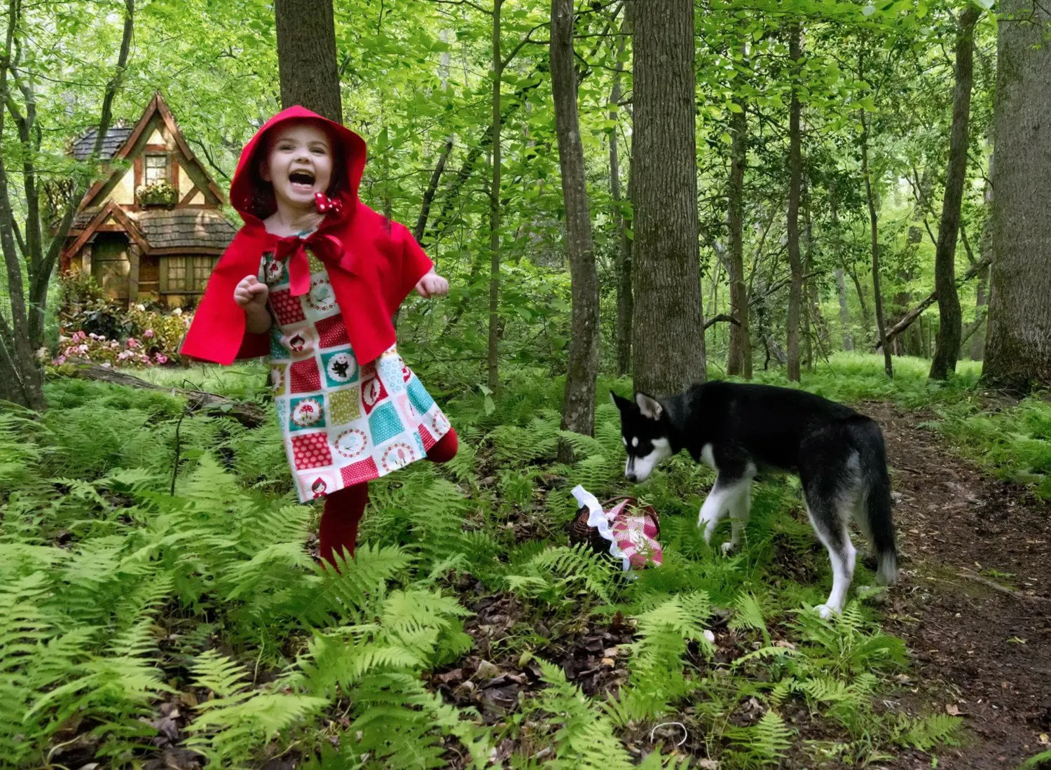 Red Riding Hood Costume