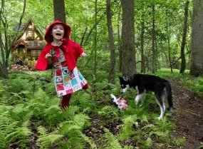 Red Riding Hood Costume