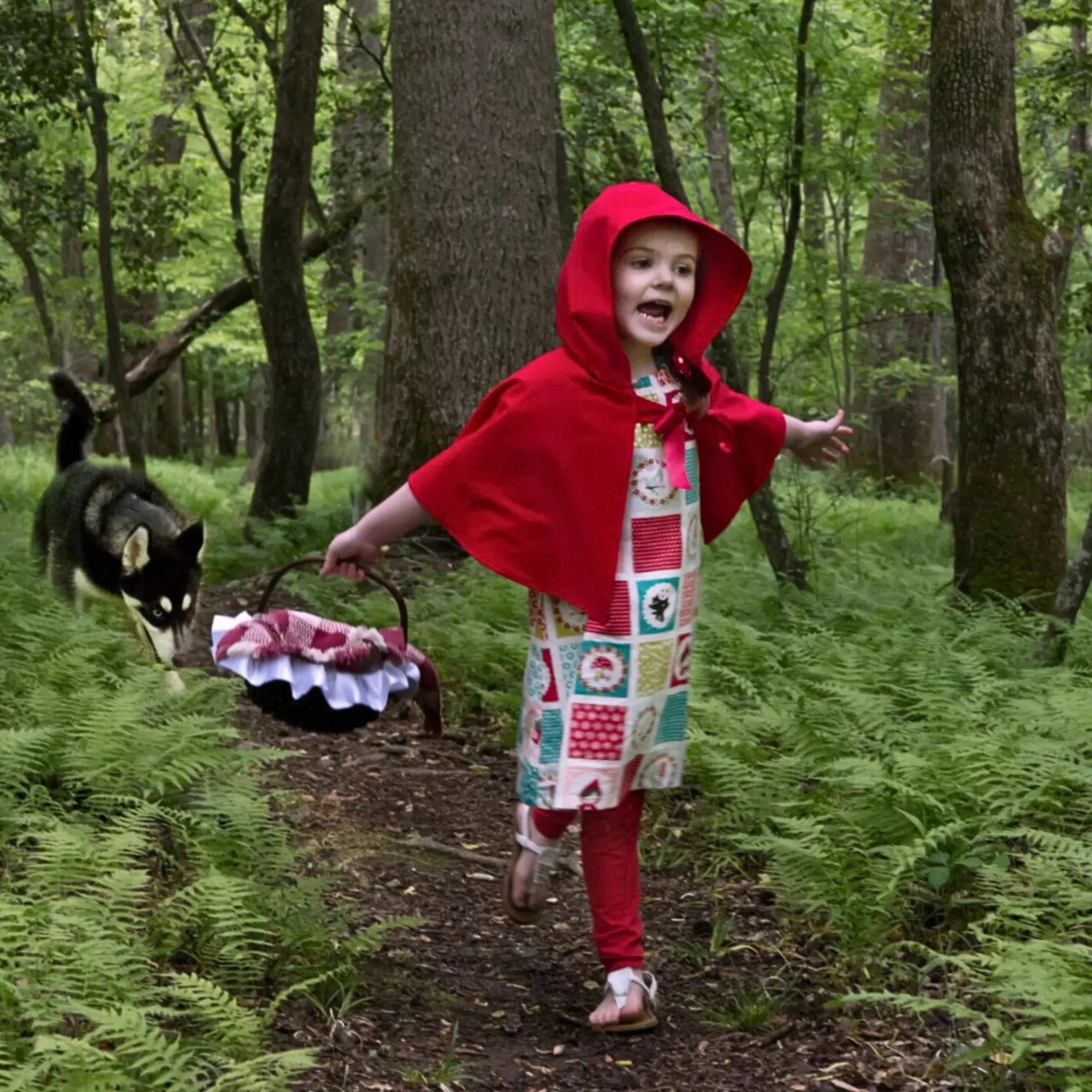 Red Riding Hood Costume