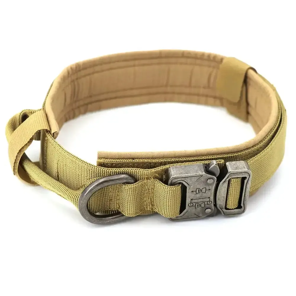 Spoil your furry friend with our high-quality Dog Collar