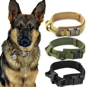 Spoil your furry friend with our high-quality Dog Collar