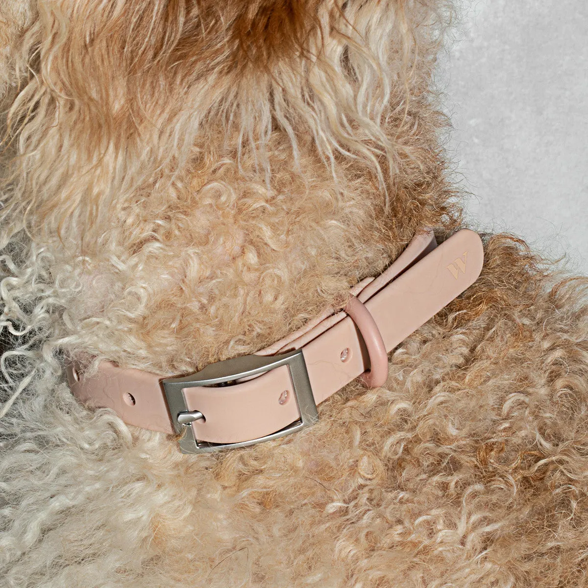 Wild One Collar - Blush